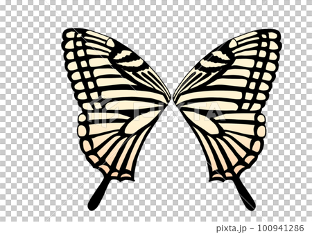 羽を広げたアゲハチョウ 羽を広げたアゲハチョウ 100941286