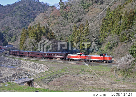 山口線　津和野ー船平山　JR西日本　DE10-1531＋DE10-1514＋35系　DLやまぐち号 100941424