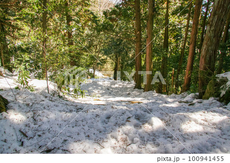 雪に覆われた冬の山道 100941455