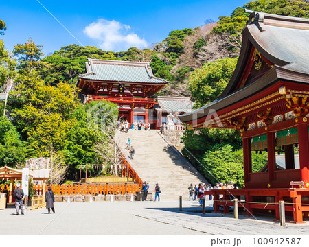 鎌倉　鶴岡八幡宮 100942587
