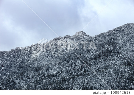 雪化粧の金毘羅山 雪化粧の金毘羅山 100942613
