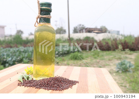mustard oil with seed flower and money bag on farm for harvest are cash crops 100943194
