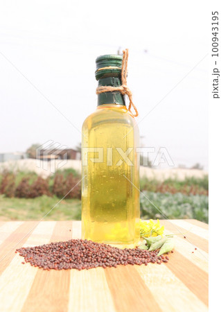 mustard oil with seed flower and money bag on farm for harvest are cash crops 100943195