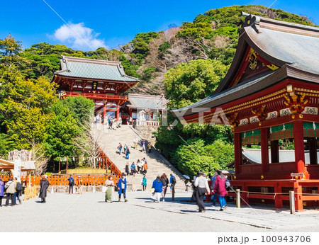 早春の鎌倉 鶴岡八幡宮 早春の鎌倉 鶴岡八幡宮 100943706