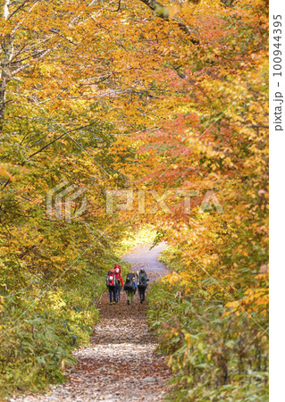 221018わさび平g218 100944395