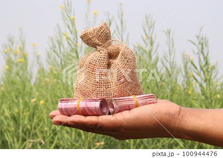 bank note with money bag and hand on mustard farm 100944476