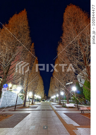 横浜・港北ニュータウンの夜景 100944477
