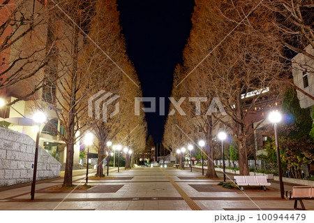 横浜・港北ニュータウンの夜景 100944479