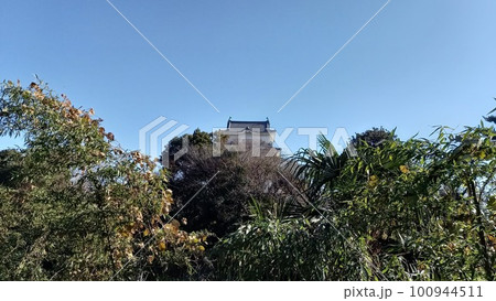 小田原城　東海道線側からの天守閣 100944511