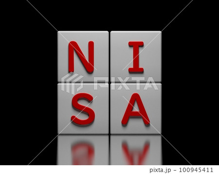 NISA 100945411
