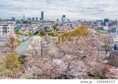 （神奈川県）横浜市・弘明寺（ぐみょうじ）公園から眺める横浜の街並み 100946357