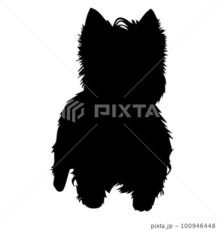 可愛い犬のシルエット ウェスティ 100946448