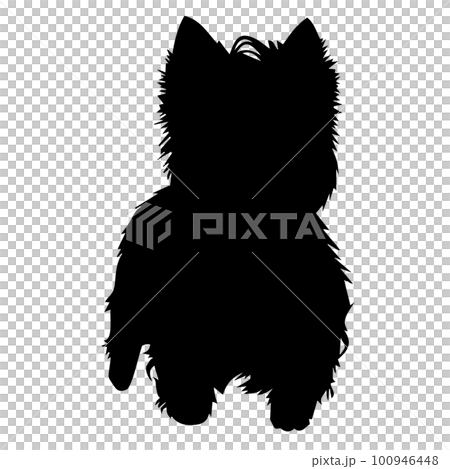 cute dog silhouette westie 100946448