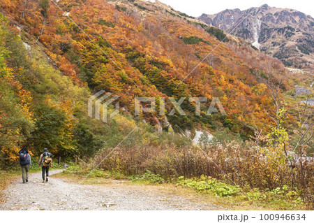 221022わさび平z062 221022わさび平z062 100946634