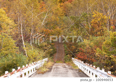 221022わさび平m025 100946653