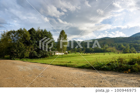 Dirt rural country road next to a green pasture in a hilly area Dirt rural country road next to a green pasture in a hilly area 100946975