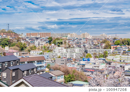 （神奈川県横浜市）桜が咲いた弘明寺公園から見る横浜の街並み 100947208