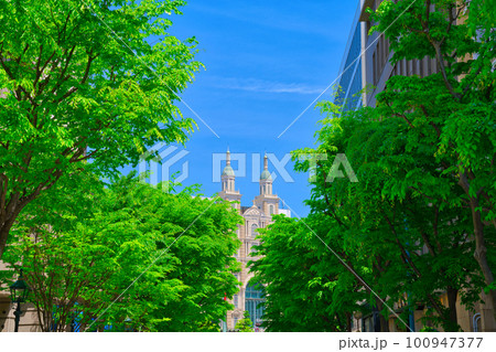 【兵庫県】5月・爽やかな青空の休日に神戸を観光 100947377
