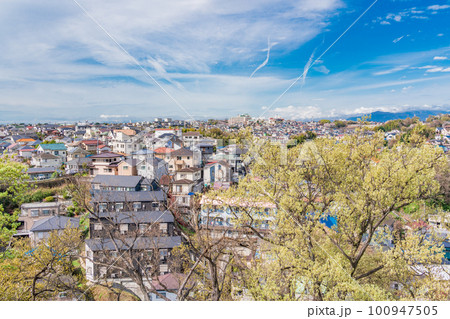 （神奈川県横浜市）新緑の弘明寺公園から見る横浜の街並み 100947505