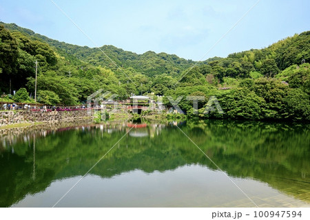 蒲郡市、あじさいの里に咲く満開の紫陽花の花 蒲郡市、あじさいの里に咲く満開の紫陽花の花 100947594