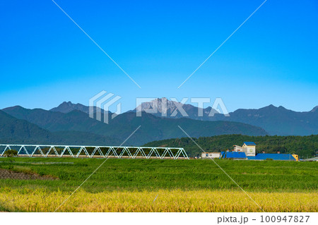 黄金色に染まる稲穂と大山・烏ヶ山と秋の青空3　鳥取県倉吉市 100947827