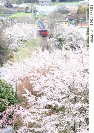 久大本線・北山田駅の桜と特急「ゆふ」3 久大本線・北山田駅の桜と特急「ゆふ」3 100947885