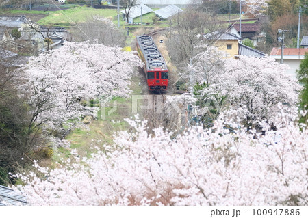久大本線・北山田駅の桜と特急「ゆふ」4 久大本線・北山田駅の桜と特急「ゆふ」4 100947886