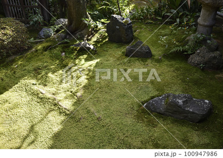 桂春院　侘の庭　妙心寺 100947986