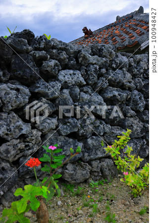 竹富島の風景(花) 竹富島の風景(花) 100948427