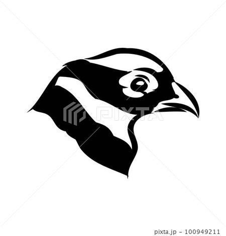 Hand drawn of an pheasant, sketch. Vector illustration isolated on a white background. 100949211