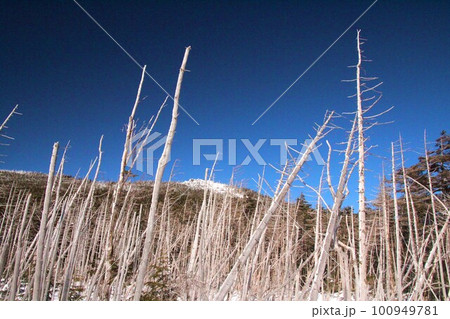 縞枯山 縞枯山 100949781