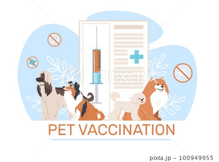 Vaccination of pets, cat and dog professional health care. Vet passport and syringe with vaccine. Veterinary clinic, animal examination. Cartoon flat illustration. Vector medical concept Vaccination of pets, cat and dog professional health care. Vet passport and syringe with vaccine. Veterinary clinic, animal examination. Cartoon flat illustration. Vector medical concept 100949955