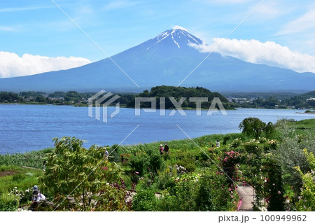 富士河口湖町 大石公園の河口湖自然生活館散策路と富士山と花壇 富士河口湖町 大石公園の河口湖自然生活館散策路と富士山と花壇 100949962