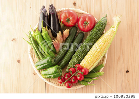 夏野菜 集合 夏野菜 集合 100950299