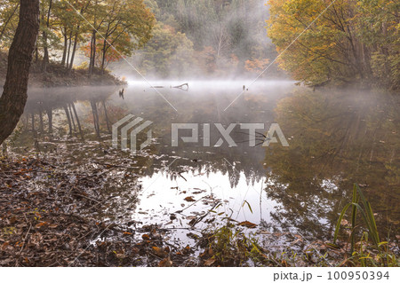 221028ダム湖z007 100950394