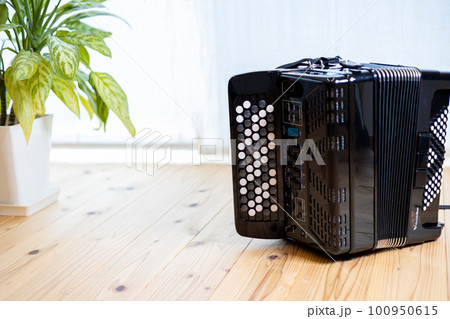 無垢板の床の上に置いてあるクロマチックボタン式アコーディオン 100950615