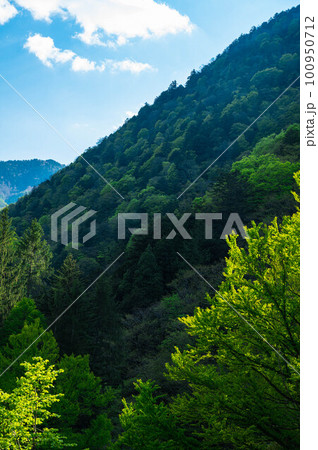 北アルプスの新緑と青空 白骨温泉 100950712