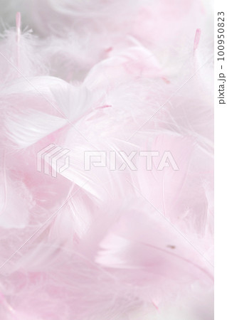 淡いピンクに染色された装飾用の鳥の羽根 淡いピンクに染色された装飾用の鳥の羽根 100950823