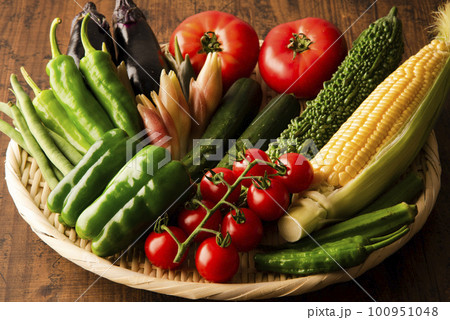 夏野菜　集合 100951048