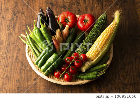 夏野菜 集合 夏野菜 集合 100951050