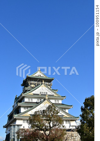 大阪城の天守閣と晴天の空 大阪城の天守閣と晴天の空 100951154