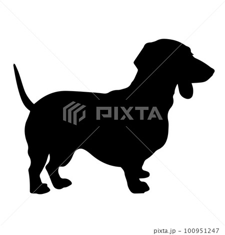 可愛い犬のシルエット ウェスティ 100951247