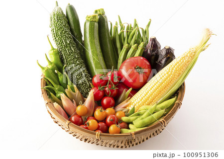 夏野菜　集合　白バック 100951306