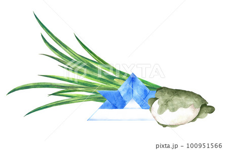 柏餅と菖蒲の葉、折り紙の兜の水彩画 100951566