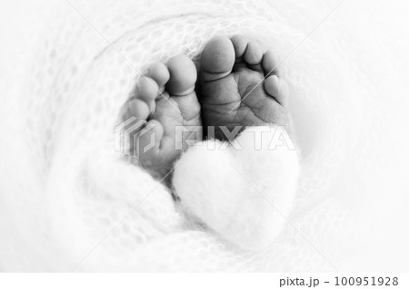 Soft feet of a new born in a wool blanket. Close up of toes, heels and feet of a newborn. Knitted heart in the legs of baby. The tiny foot of a newborn baby. Macro photography. Black and white. Soft feet of a new born in a wool blanket. Close up of toes, heels and feet of a newborn. Knitted heart in the legs of baby. The tiny foot of a newborn baby. Macro photography. Black and white. 100951928