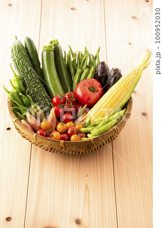 夏野菜 集合 夏野菜 集合 100952030