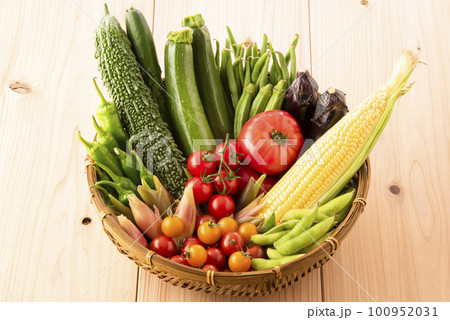 夏野菜　集合 100952031