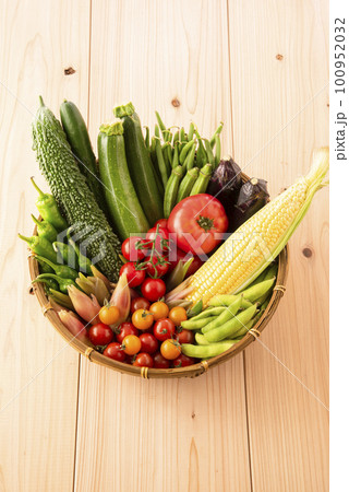 夏野菜 集合 夏野菜 集合 100952032