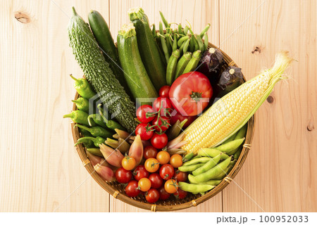 夏野菜　集合 100952033