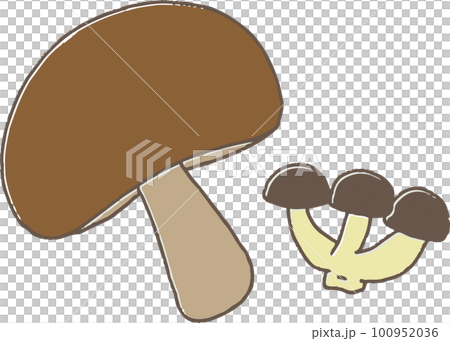 Hand-drawn style simple shiitake mushrooms and shimeji mushrooms 100952036